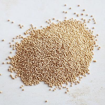 1000 Amaranth Seeds