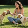 Canvas Pet Training Pouch PVC Snack Pouch Portable Dog Treat Pouch  Outdoor Walking