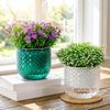 Self-absorbing Flowerpot with Absorbent Rope Transparent Water Level Flowerpot Honeycomb Texture Plant Pot for Indoor Plants
