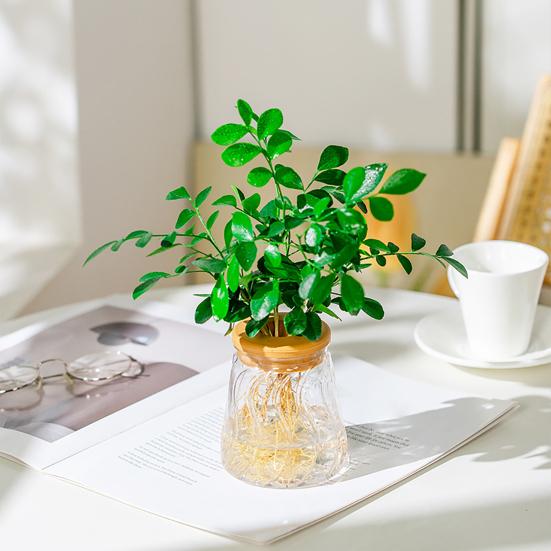 Desktop Flower Vase Hydroponic Planter with Lid, Glass-Like Clear Plant Propagation Station, Minimalist Style for Cuttings, Home Office Desk