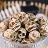 55KF Mini Skull Ornaments Pack of 20 Resin Miniature for Seasonal Displays