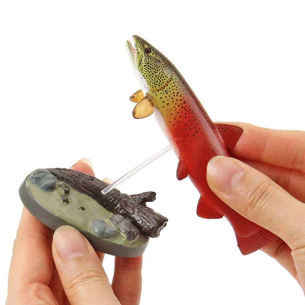 Calorata Japanese Freshwater Fish 3D Encyclopedia Species Includes Instructions and Realistic Figures Birthday Gift Sanitation Law Fish Figure Gift