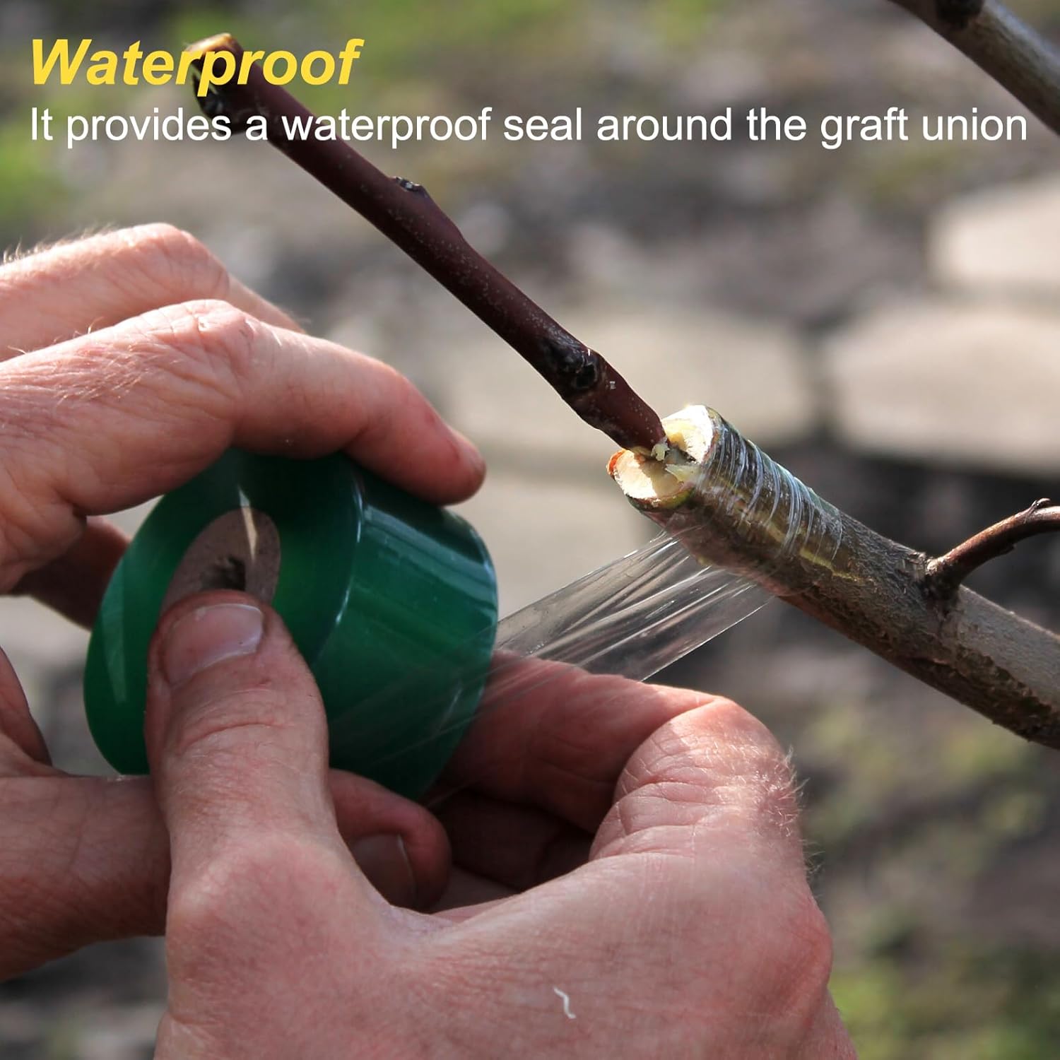 

HARFINGTON 4 рулона ленты для прививки плодовых деревьев 2,5 см x 100 м ПВХ эластичная садовая лента для прививки растений самоклеящаяся флористическая пленка для цветочных деревьев и 4