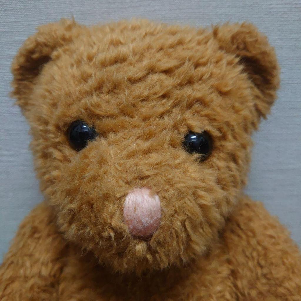 [USED] First Teddy Bear Plush Toy