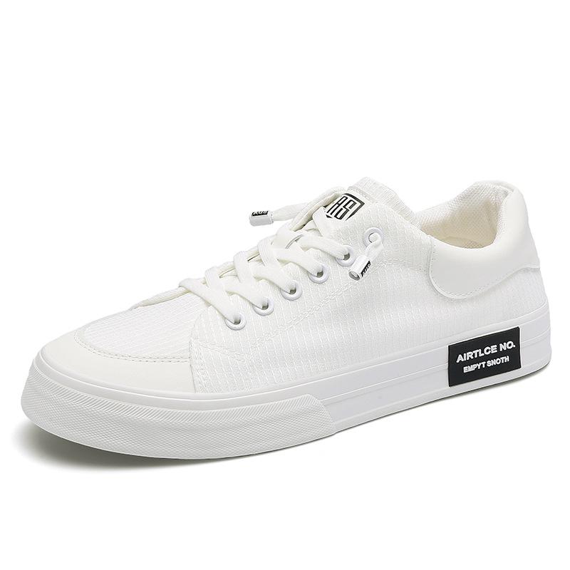 New Spring Mens Shoes Korean Style Trendy and Versatile Casual Mens Canvas Shoes Light Luxury Niche Comfortable Flat Shoes