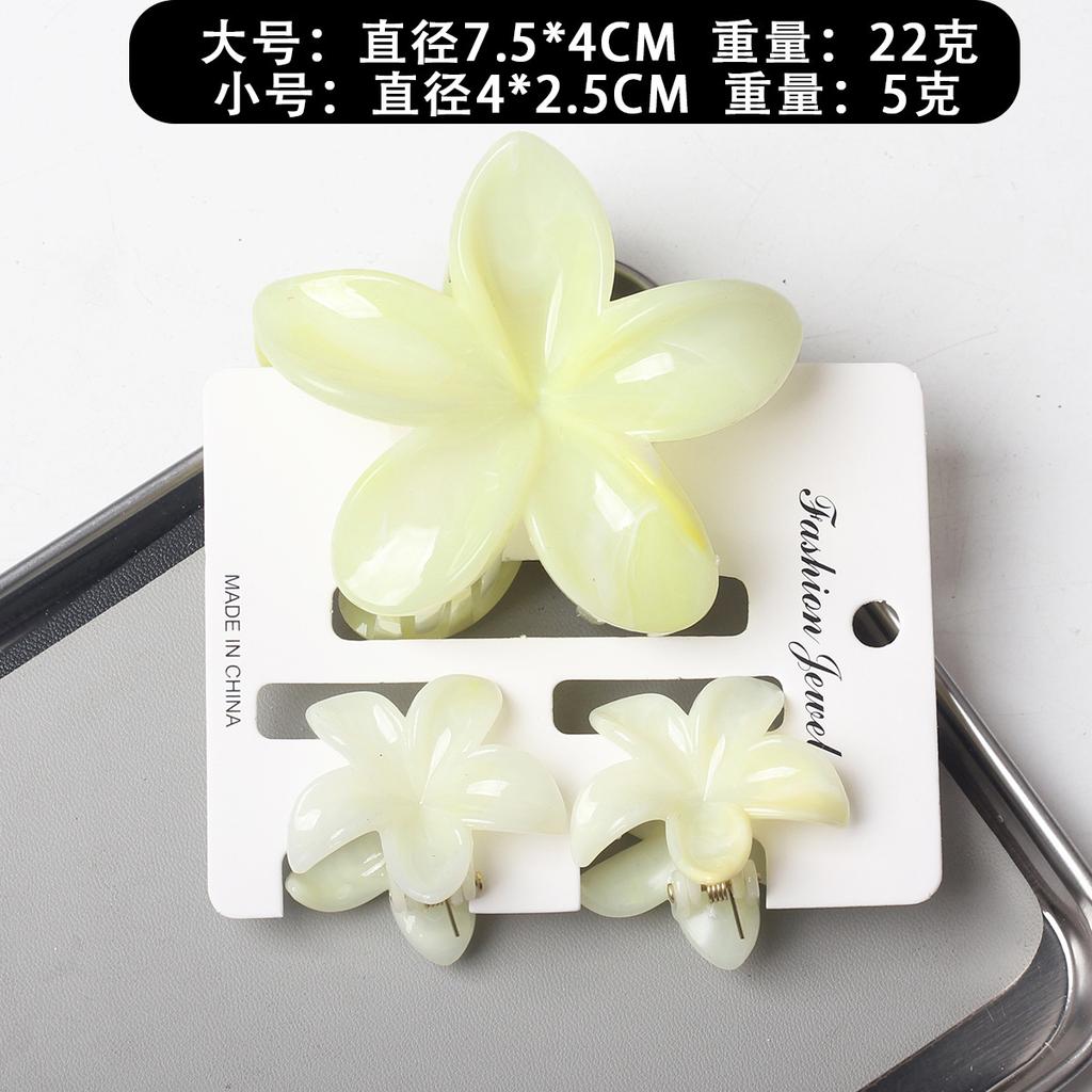 2025 New Egg Flower Grab Clip Retro Color Flower Hair Claw Clip Lady Side Grab Half Grab Back Head Shark