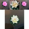 Elegant 10cm Artificial Lotus Flower Water Lily Fake Plant For Swimming Pool Decor