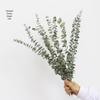 High-End Wabi-Sabi Dried Flower Decor: Natural Reeds & Wheat for Living Room or Homestay.