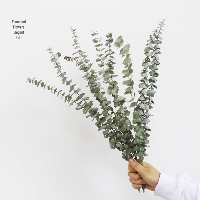 High-End Wabi-Sabi Dried Flower Decor: Natural Reeds & Wheat for Living Room or Homestay.