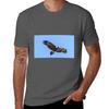 Wedgetailed Eagle Tshirt T Shirts For Unisex Slim Fit Unisex T Shirt Cotton 100 Tshirt