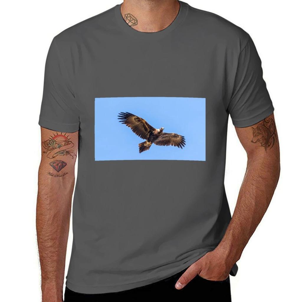 Wedgetailed Eagle Tshirt T Shirts For Unisex Slim Fit Unisex T Shirt Cotton 100 Tshirt