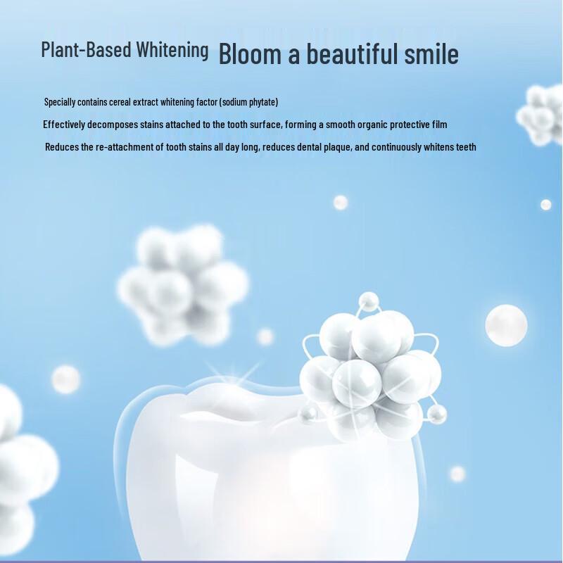 Leng Suan Ling National Museum Great Han Silk Road Toothpaste