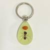 Keychain Pendant Decorative Exquisite Glow In The Dark Crabs Ants Spider Scorpion Key Ring Pendant for Men