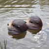 1PCS Outdoor Garden Yard Aquarium Pond Decorative  Floating Otter Head Statue Ornaments Garden Decoration