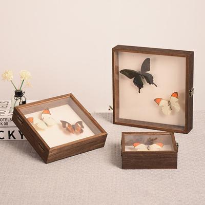 High-Visibility Display Box Large Insect Shadow Box Wood Construction Multiple Sizes Smooth Edge Insect Specimens Storage Display Case
