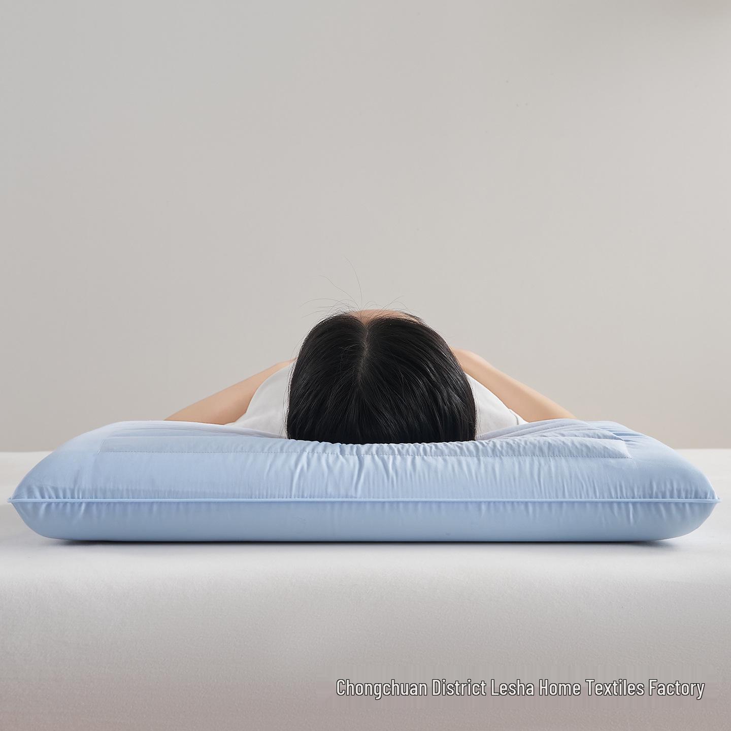 

26-Year Best-Selling Herbal Buckwheat Hull Memory Foam Pillow – Zero Pressure, Slow Rebound Comfort 42x70cm 6/8/10cm