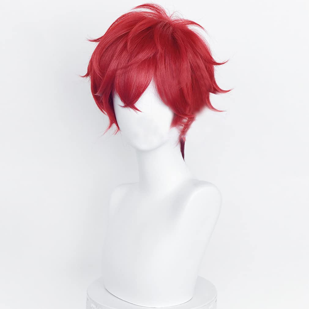 LAOBAO Cosplay Wig - Amagi Iori - Heat Resistant, Disguise Wig, Red - Costume Accessory for Parties, Halloween, Fancy Dress, School Festivals, Events