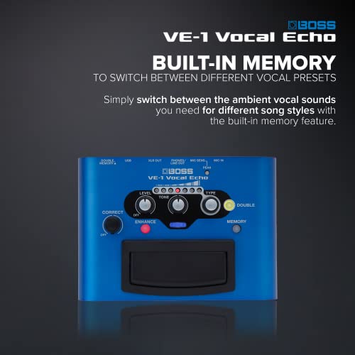 BOSS Vocal Echo VE-1