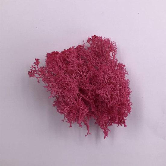 Kunstig plante Preservert blomst Reinsmose DIY Håndverk Hage Hjemmedekor