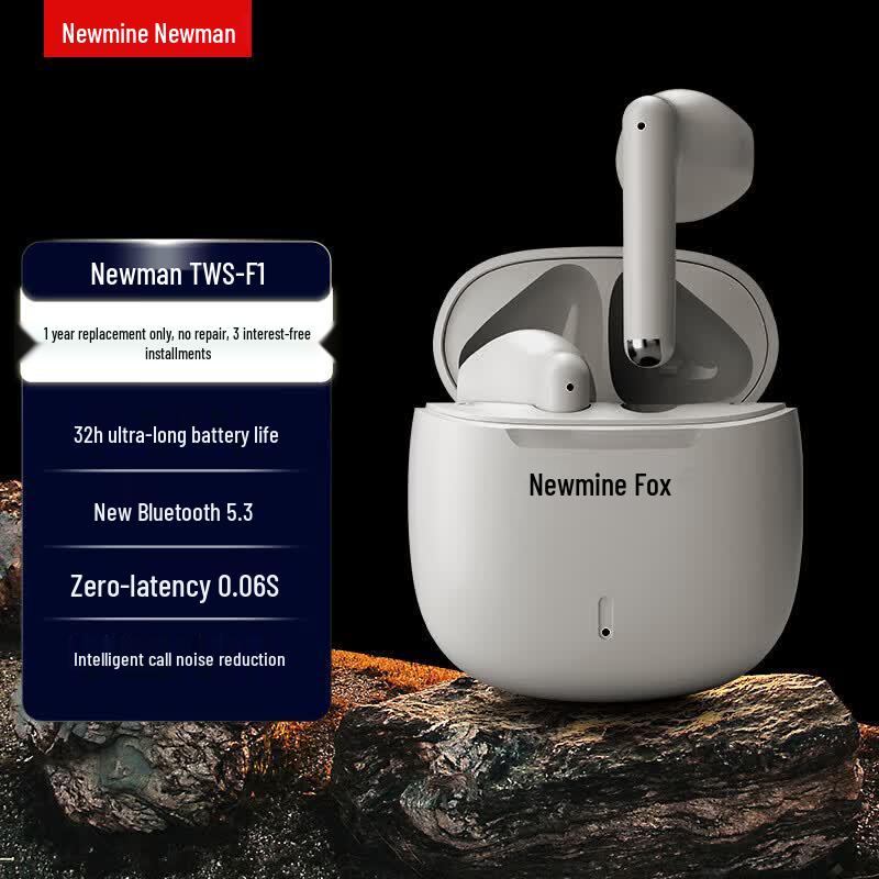 Newman TWS-X5 Half-in-Ear True Wireless Earbuds