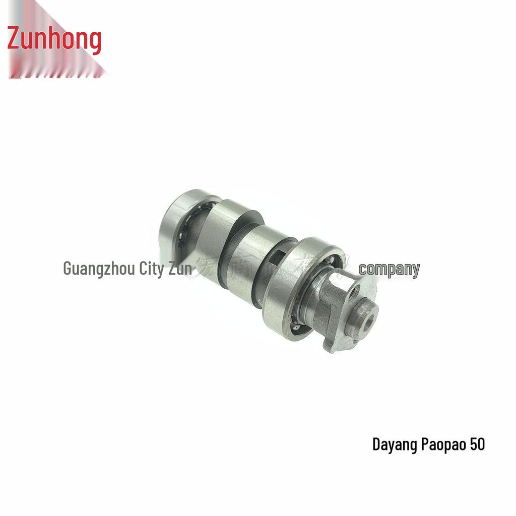 Motorcycle Camshaft for Dayang Paopao 50