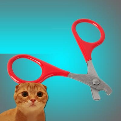 Strumenti per la cura degli artigli del gatto domestico Forbici per unghie per gatti Accessori per forniture per animali domestici Strumenti per la pulizia del gatto per unghie ad artiglio Forbici Prodotti per animali domestici