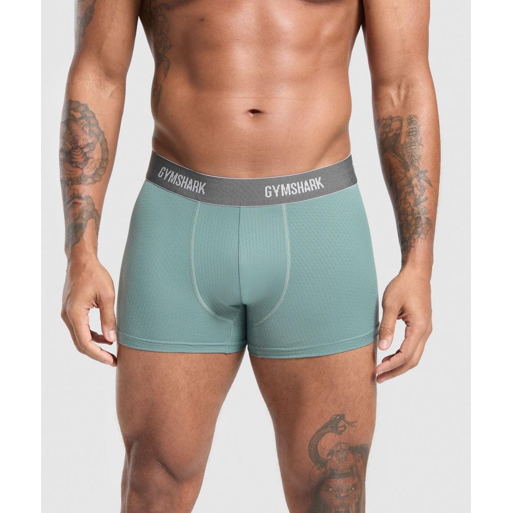 

Gymshark Sports Tech Boxer 3pk Black Deep Orange Celeste Blue A5a3v Bc2t XS