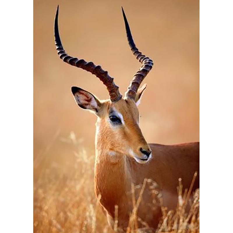 Deer DIY 5D Diamond Painting Full Round Drill Animal Diamond Embroidery Cross Stitch Mosaic Kits Wall Art Home Decor