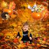 22 Pcs Maple Leaves Balloons Autumn Decorations with Maple Leaves Pumpkin Balloons for  Wedding Birthday Thanksging Day Party