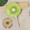 Fruit Print Fan with Wooden Long Handle Portable Lightweight Outdoor Travel Camping