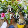 100-500pc Plant Sign Tags Markers Plants Pot Identification Labels Reusable Classification Marker Card Nursery Garden Stake Tags