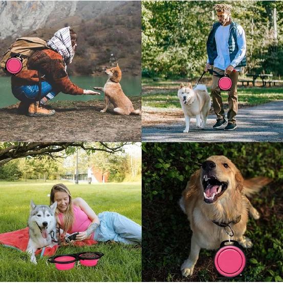 Collapsible Dog Bowls, Portable Travel Pet Feeder Bowl, 2 in 1 Expandable Silicone Pet Food & Water Double Bowl, Cat Feeder Dish with Carabiner for
