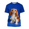 3D Puppy Dog Printed T-shirty Men Oversized Baggy Cavalier King Charles Spaniel Graphic T Shirts Streetwear Cute Clothes