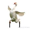 30*45cm Gans Acryl Gartenstecker Niedliche Gans Statue Gartendekorationen Rasen Topfpflanzendekoration Blumentopf Verzierung