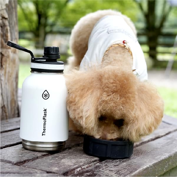 Thermoflask Share Bottle Insulated Stainless Steel Water Perfect for Pets and Walks [Official Takeya] 0.94L White, Bottle,