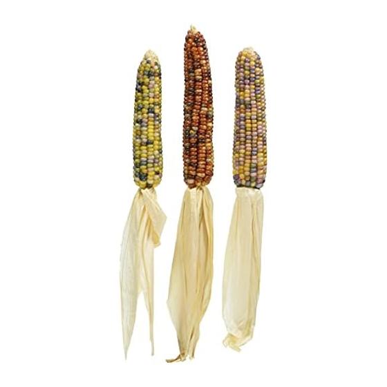Tokyodo Dried Flower Wind Flower Glass Gem Cone Approximately L10~14cm 3 Pieces DN000084-zzz
