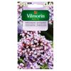 Patagonian Verbena Seeds 0.3g - VILMORIN
