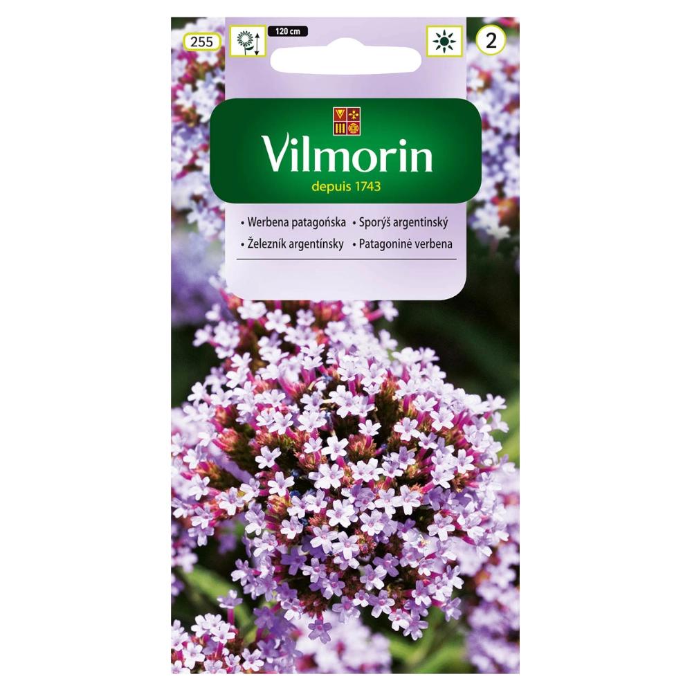 Patagonian Verbena Seeds 0.3g - VILMORIN