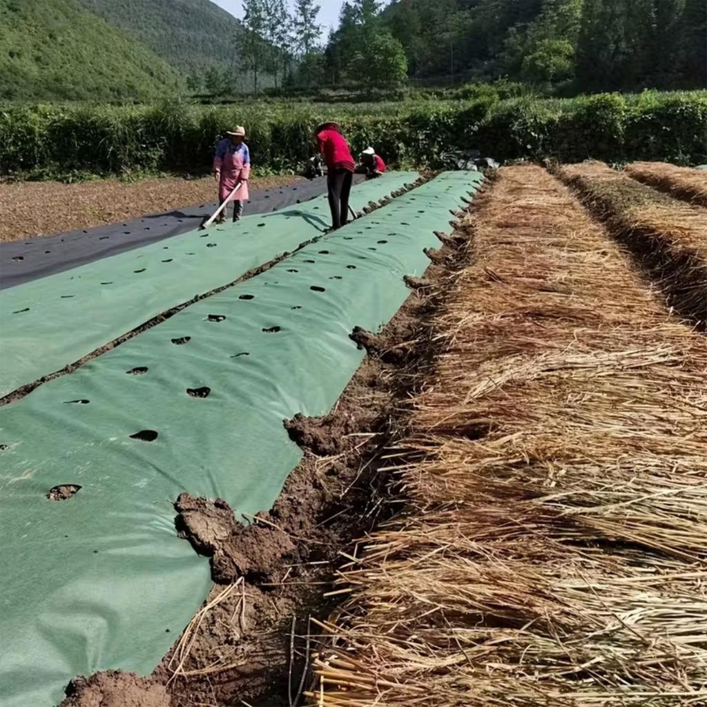 Heavy Duty Landscape Fabric 19.7x3.3ft Pre-punched Permeable Outside Grass Block Fabric For Landscaping Lawn Patio Greenhouse