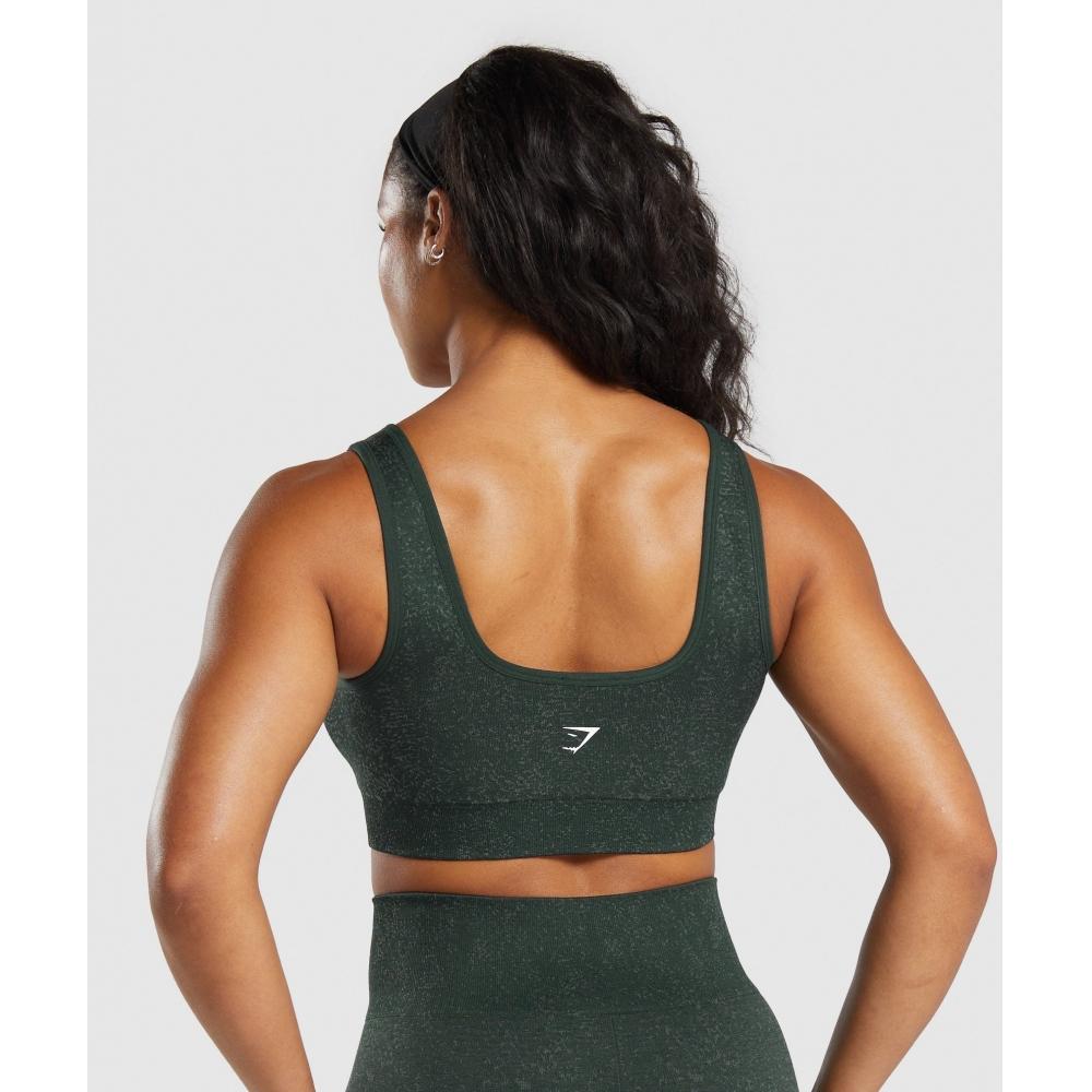 Gymshark Adapt Fleck Sports Bra Victory Green  Unit Green B9a7h Ecvn