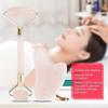 Natural Double Head Rose Quartz Jade Stone Roller & Scrapping Plate Face Massage Tool Kit