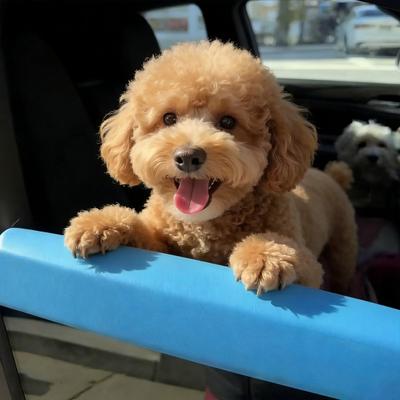 Poggiamento per Finestrino Auto per Cani Cuscino Poggiamento Universale per Animali Domestici per Proteggere Mascella Denti Collo del Cucciolo Durante i Viaggi con Finestrino Abbassato