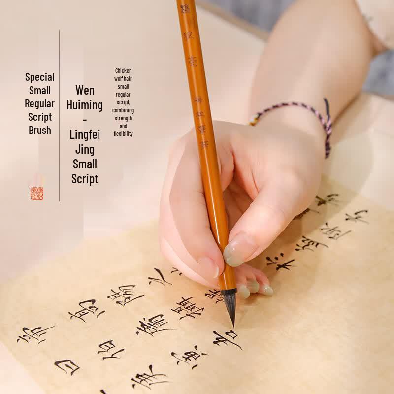 Professional Chinese Calligraphy Brush Set