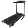 Cecotec Treadmill DrumFit WayHome 1200 Runner Sprint