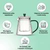 GLASS JUG TEA INFuser 1L TRANSPARENT BOROSILICATE GLASS