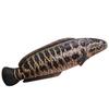 Simulation Herring Black Fish Doll Plush Toy Fish Doll Home Pillow Boy Soothing Doll
