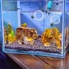 Mini Aquarium Air Pump USB Portable Mini Small Oxygenator Fish Tank Silent Air Compressor Aerator Aquarium Accessories