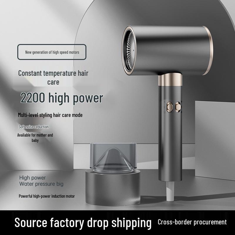 High-Power Hair Dryer for Home, Quick-Dry with No Damage, Hot/Cold Air, Constant Temperature Control