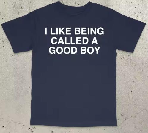 Good Boy Shirt Funny Meme Shirt Stupid Shirt Dumb Shirt Brain Rot Shirt Embarrassing Shirt Funny Saying Shirt Moisture Wicking