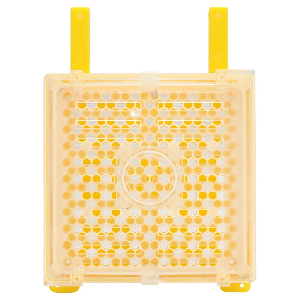 Plastic Rearing Bee Breeding Kit Cage Marking Bottle Beekeeping Accessories for Beekeeping Worker
